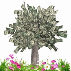 money-tree
